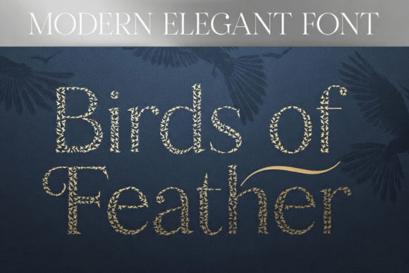 Birds of Feather: A Modern Display Font That Elevates Your Brand