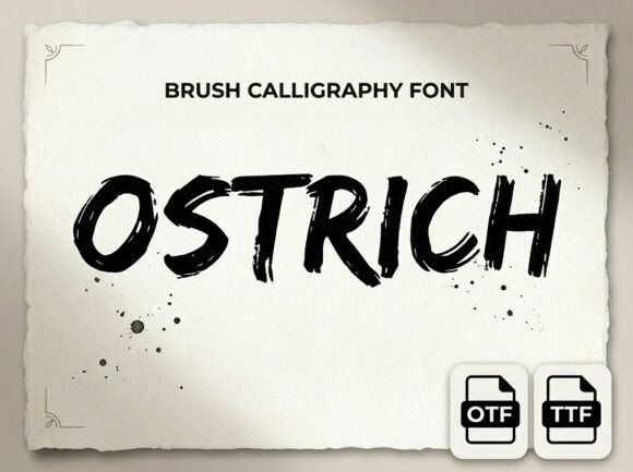 Ostrich Font: A Bold Decorative Typeface for Standout Branding